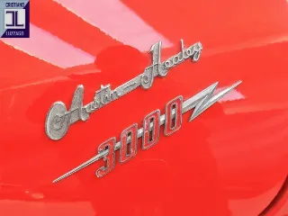 Foto 12 di 36: AUSTIN HEALEY 3000 MK3 1964
