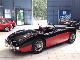 Foto 10 di 224: AUSTIN HEALEY 100-4 BN2 1956