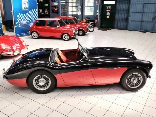 Foto 12 di 224: AUSTIN HEALEY 100-4 BN2 1956