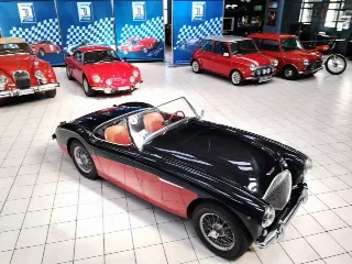 Foto 13 di 224: AUSTIN HEALEY 100-4 BN2 1956