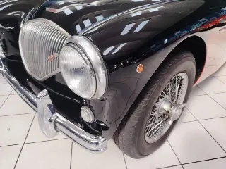 Foto 17 di 224: AUSTIN HEALEY 100-4 BN2 1956