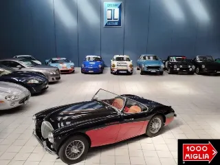 Foto 1 di 224: AUSTIN HEALEY 100-4 BN2 1956