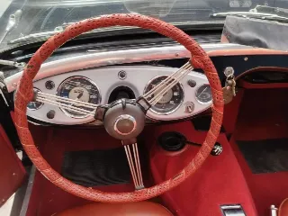 Foto 32 di 224: AUSTIN HEALEY 100-4 BN2 1956