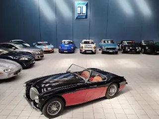 Foto 3 di 224: AUSTIN HEALEY 100-4 BN2 1956