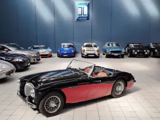 Foto 4 di 224: AUSTIN HEALEY 100-4 BN2 1956