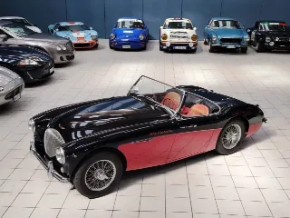 Foto 5 di 224: AUSTIN HEALEY 100-4 BN2 1956