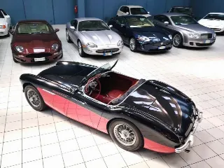 Foto 8 di 224: AUSTIN HEALEY 100-4 BN2 1956