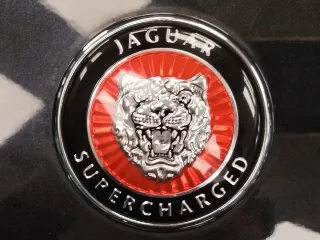 Foto 25 di 68: JAGUAR XK R COUPE 1998