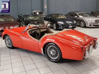 Foto 13 di 57: TRIUMPH TR2 LONG DOOR 1954