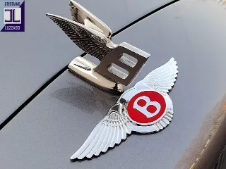 Foto 16 di 97: BENTLEY CONTINENTAL S 1995