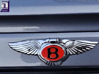 Foto 25 di 97: BENTLEY CONTINENTAL S 1995