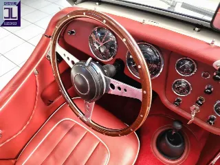 Foto 46 di 487: TRIUMPH TR3 SPORT 1955 ELEGGIBILE 1000 MIGLIA