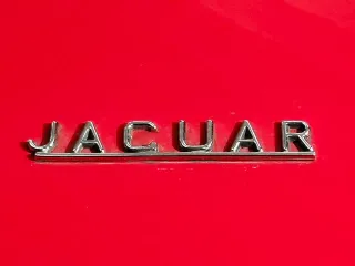 Foto 19 di 57: JAGUAR E TYPE S1 3.8 ROADSTER 1963