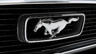 Foto 29 di 40: Ford Mustang Cabrio V8