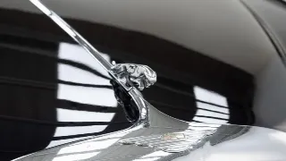 Foto 17 di 40: Jaguar 420 G