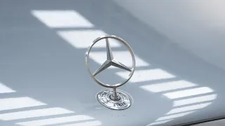 Foto 6 di 40: Mercedes-Benz 300 SE