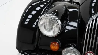 Foto 10 di 40: Morgan +8