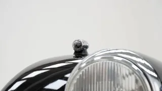 Foto 18 di 40: Morgan +8