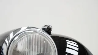 Foto 19 di 40: Morgan +8