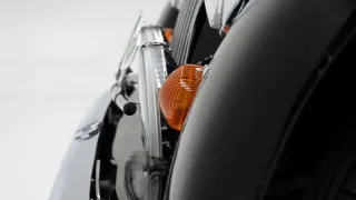 Foto 32 di 40: Morgan +8