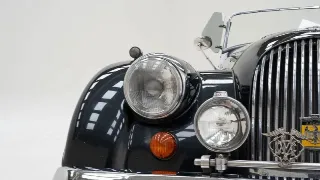 Foto 22 di 40: Morgan +8