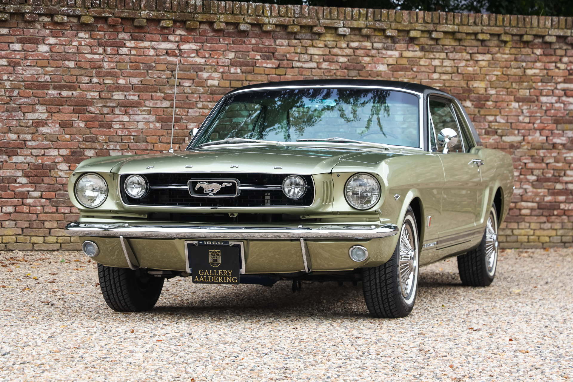 Ford Mustang GT A-Code “The Dutch most award-winning Mustang”