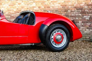 Foto 18 di 118: Healey Silverstone “The D-type from Kenya”