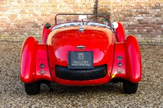 Foto 46 di 118: Healey Silverstone “The D-type from Kenya”