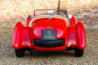 Foto 78 di 118: Healey Silverstone “The D-type from Kenya”