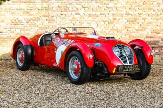 Foto 80 di 118: Healey Silverstone “The D-type from Kenya”