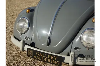 Foto 64 di 100: Volkswagen Beetle Standard Oval 1200