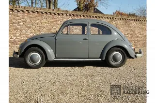 Foto 74 di 100: Volkswagen Beetle Standard Oval 1200