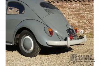 Foto 84 di 100: Volkswagen Beetle Standard Oval 1200