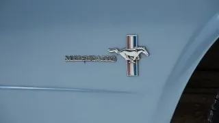 Photo 14 of 40: Ford Mustang