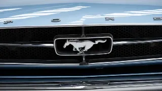 Photo 28 of 40: Ford Mustang