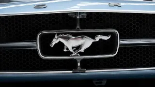 Photo 31 of 40: Ford Mustang