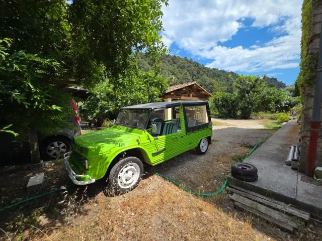 Citroën Méhari | 1980 | Route 66 Auctions