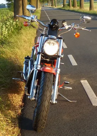 Foto 4 di 8: Harley-Davidson Screamin' Eagle V-Rod | 2005 | Route 66 Auctions