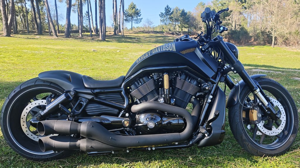 Harley-Davidson V-Rod Night Rod Special | 2013 | Route 66 Auctions