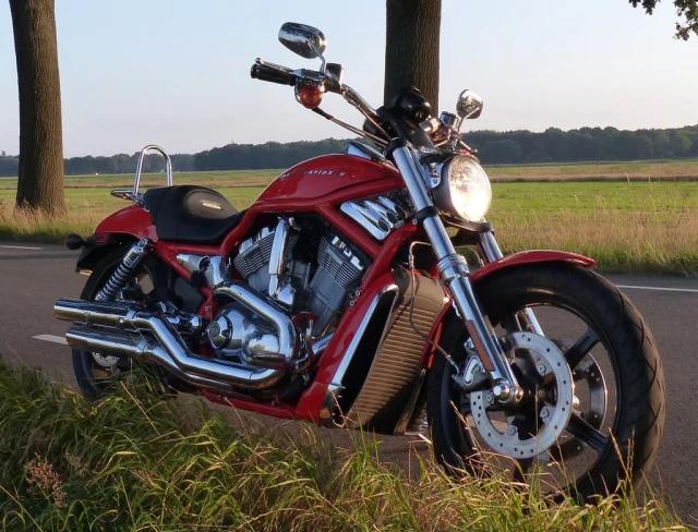 Harley-Davidson Screamin' Eagle V-Rod | 2005 | Route 66 Auctions