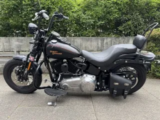 Foto 5 di 8: Harley-Davidson Softail Cross Bones | 2009 | Route 66 Auctions