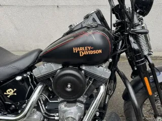 Foto 7 di 8: Harley-Davidson Softail Cross Bones | 2009 | Route 66 Auctions