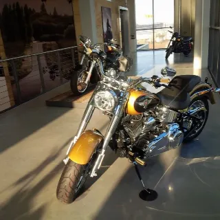Foto 11 di 16: Harley-Davidson Fat Boy FLSTF | 2017 | Route 66 Auctions
