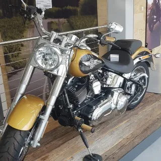 Foto 2 di 16: Harley-Davidson Fat Boy FLSTF | 2017 | Route 66 Auctions