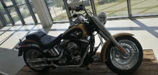 Foto 5 di 16: Harley-Davidson Fat Boy FLSTF | 2017 | Route 66 Auctions