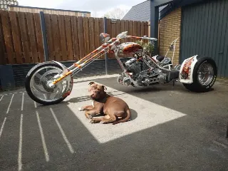 Foto 3 di 8: Harley-Davidson Trike | 2006 | Route 66 Auctions