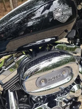 Foto 6 di 6: Harley-Davidson Sportster 1200 Custom | 2004 | Route 66 Auctions