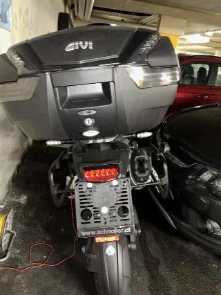 Foto 7 di 8: Triumph Tiger 1200 GT Pro | 2023 | Route 66 Auctions