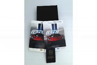 Foto 7 di 108: Ford GT Carbon Series “Limited Edition #192” PRICE EXCL.VAT!