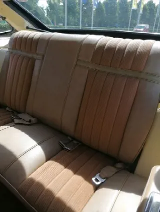 Foto 8 di 13: BUICK Skylark V8 